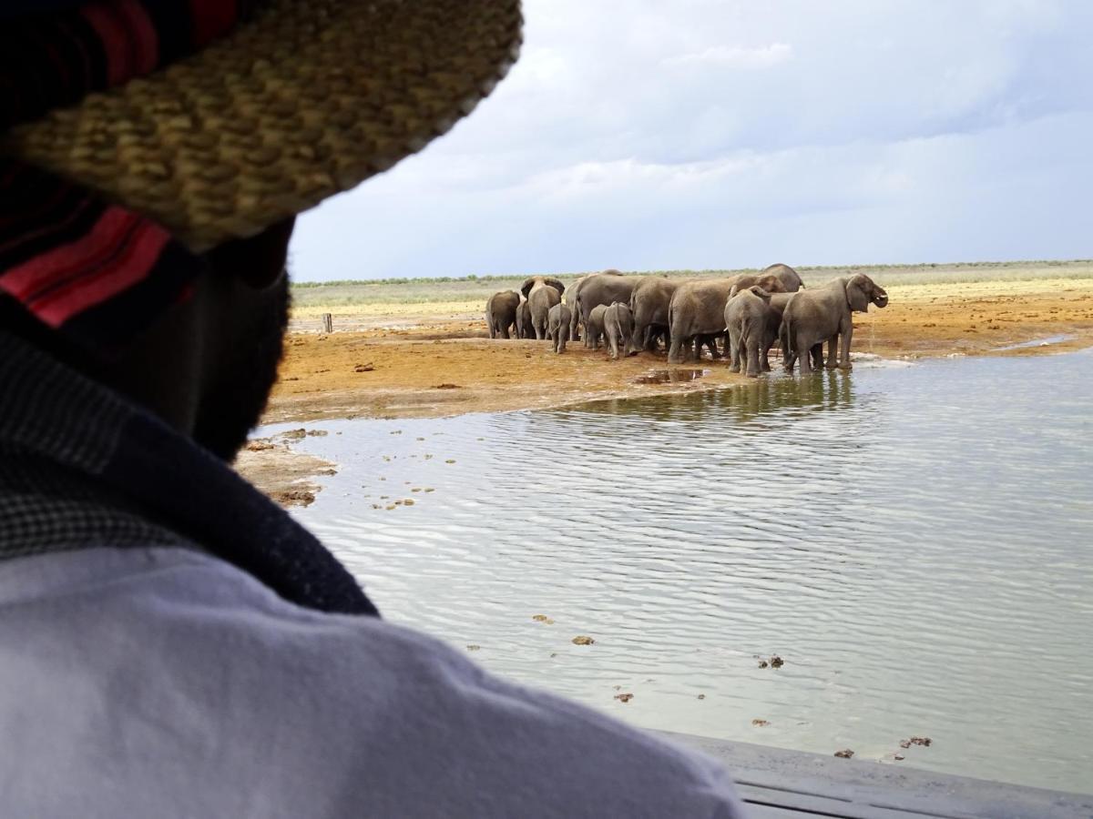 Willa Etosha King Nehale Omuthiya Zewnętrze zdjęcie